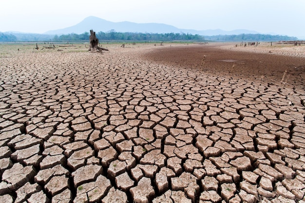 Pęknięta sucha ziemia bez wody