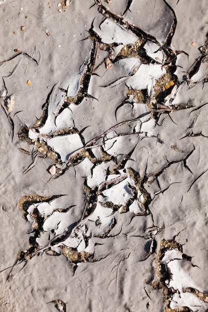 Pęknięta sucha ziemia suszone błoto z pęknięciami w piasku