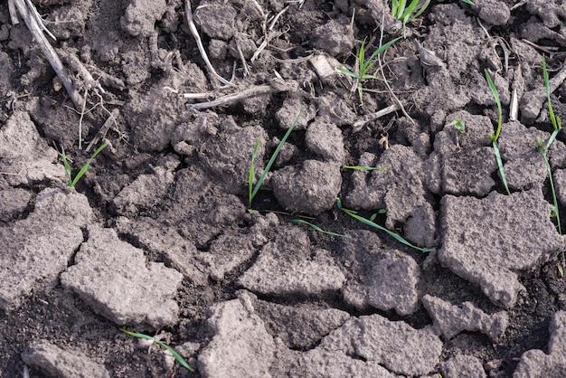 Pęknięta ziemia jako tło tekstury Widok z góry