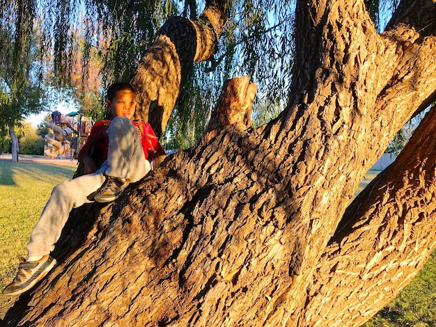 Pełna długość chłopca siedzącego na pniu drzewa w parku