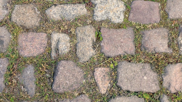 Pełna kadra brukowanej ścieżki