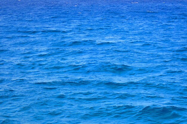 Zdjęcie pełna kadra morza