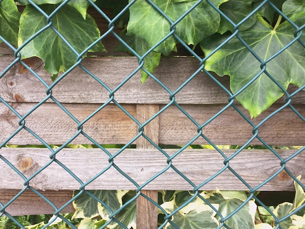 Zdjęcie pełna kadra ogrodzenia łańcuchowego