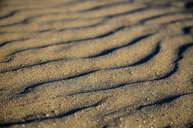 Zdjęcie pełna kadra piasku