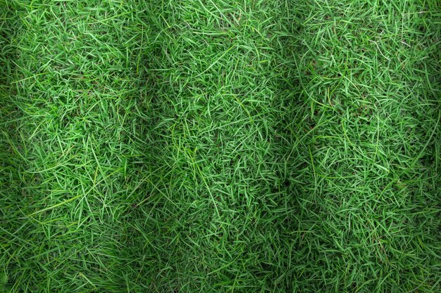 Zdjęcie pełna kadra trawy na boisku