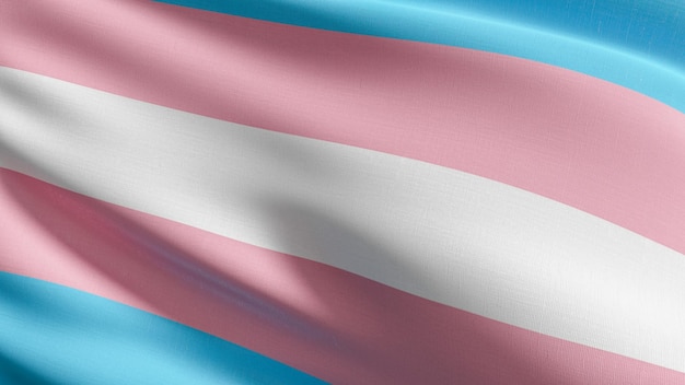 Pełna klatka wielobarwnych ołówków