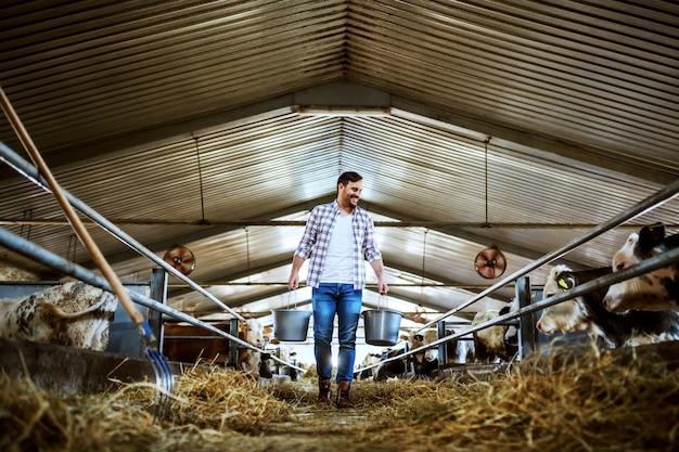 Zdjęcie pełnometrażowy przystojny rolnik kaukaski w kraciastej koszuli i dżinsach trzyma w rękach wiadra z karmą dla zwierząt. stabilne wnętrze.