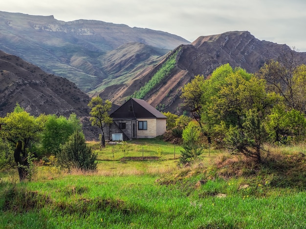 Pensjonat Z Ciemnym Dachem. Kamienny Domek W Bujnej Zieleni W Górach. Dagestan.