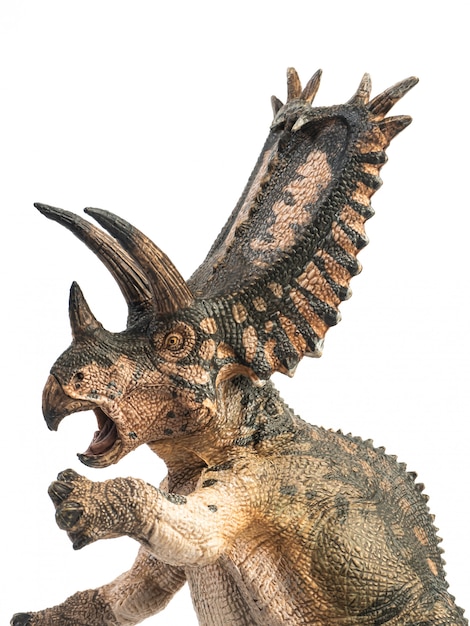 Pentaceratops Dinozaur Na Białym Tle