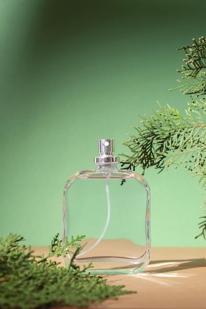 Perfumy produktu kosmetycznego w szklanej butelce o świeżym aromacie leżą na zielonych liściach tui Zapach dla kobiet i mężczyzn Perfumy w sprayu Nowoczesne luksusowe perfumy toaletowe