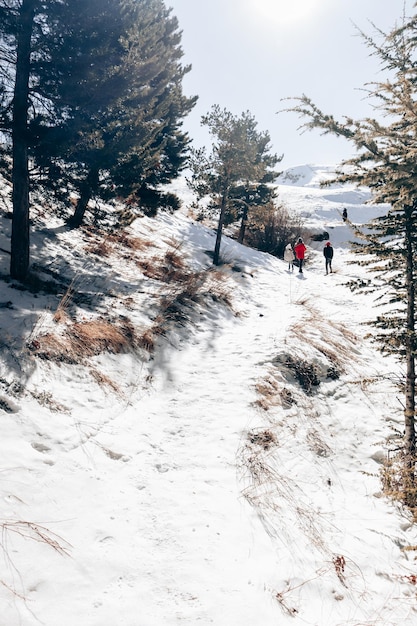 Zdjęcie persona caminando sobre el campo nevado