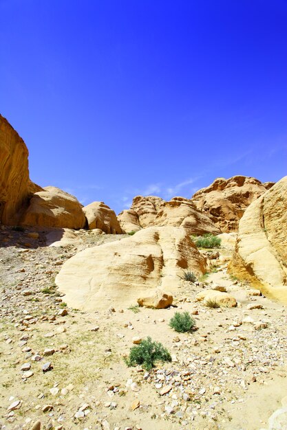 Zdjęcie petra jordan