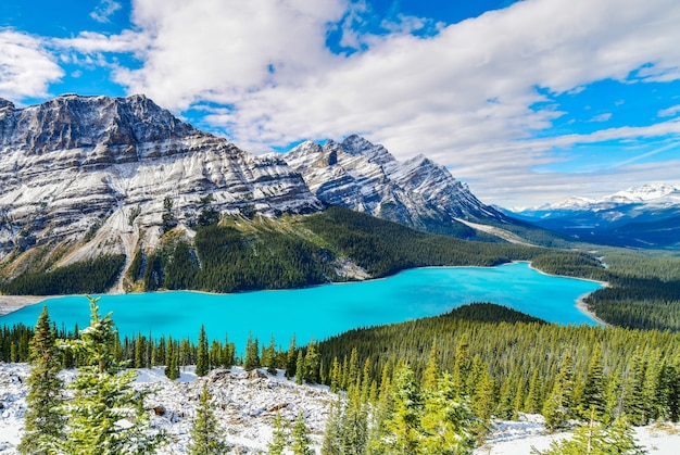 Peyto jezioro w Banff parku narodowym, Alberta, Kanada.