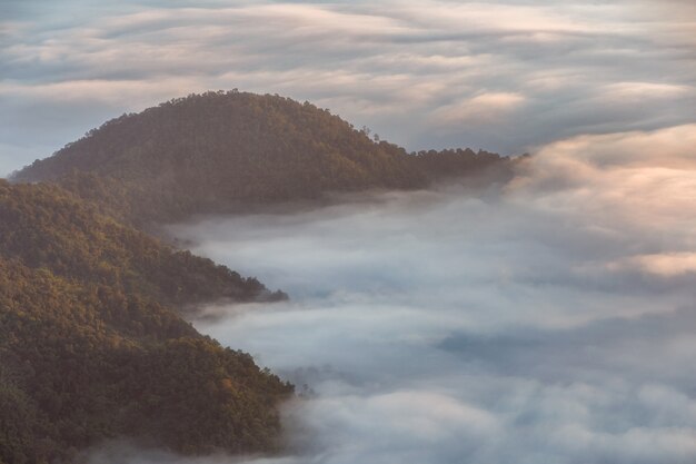 Pha Tung Góra W Wschodu Słońca Czasie, Chiang Rai