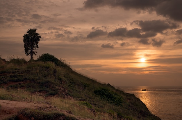 Phromthep Cape, Phuket. Słynny punkt widzenia słońca i punkt turystyczny. Drzewo palmowe.