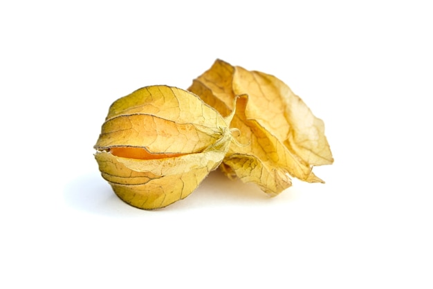 Physalis peruviana lub groundcherries na białym tle na białym tle