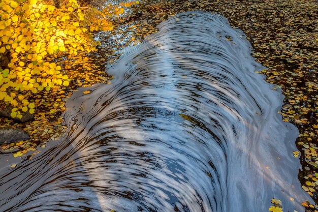 Zdjęcie piana pływająca w rzece jesienią