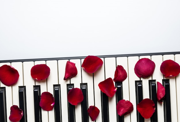 Pianino klucze z czerwieni róży kwiatu płatkami, odosobniony, odgórny widok, kopii przestrzeń.