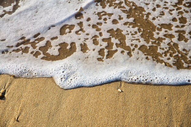 Pianka Falowa Na Plaży