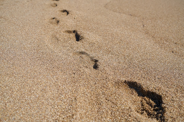 piasek na plaży