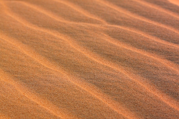Piasek pustyni tekstura tło