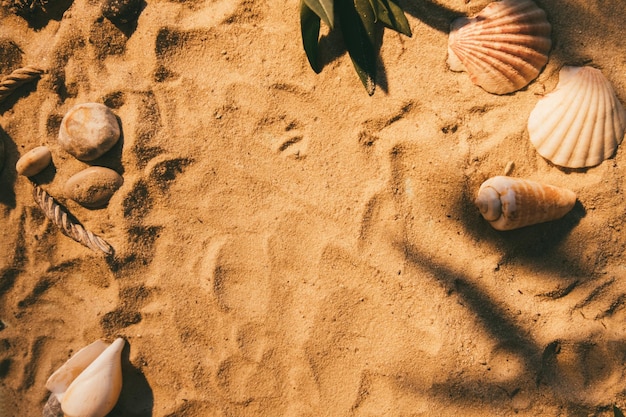 Piasek tło Letnia wyspa Brzeg morza Muszla kamienne elementy natury rama ozdoba na złotej powierzchni plaży z kopią miejsca