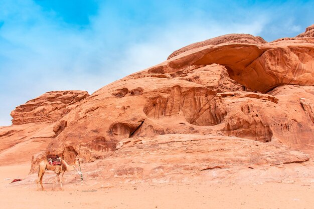 Piaski i góry pustyni Wadi Rum w Jordanii piękny krajobraz w ciągu dnia