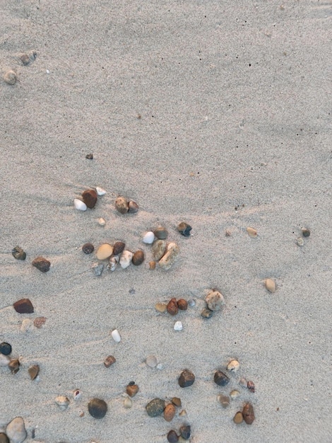 Piaski i kamienie na plaży