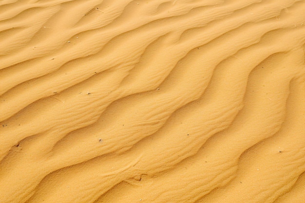 piaskowa wydma z słowem "piasek" na dnie