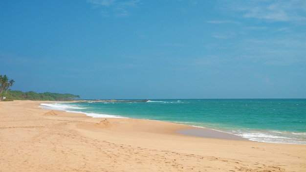 Piaszczysta bezludna rajska plaża z palmami na oceanie