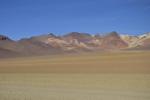 Piaszczysta droga przez pustynię o wschodzie słońca w Rezerwacie Narodowym Eduardo Avaroa w Uyuni Boliwia