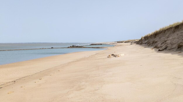 Piaszczysta plaża dzika, naturalna w soulac Le Verdon w Gironde we Francji