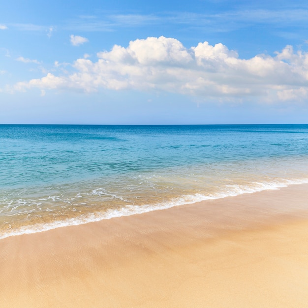 Piaszczysta plaża i niebieski ocean