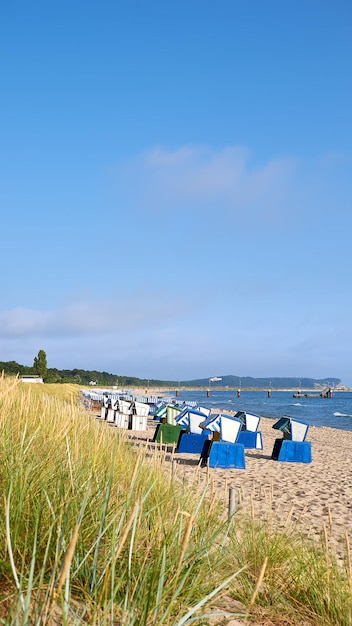 Piaszczysta plaża i tradycyjne drewniane leżaki na Rugii w północnych Niemczech, wyspie na wybrzeżu Morza Bałtyckiego Pionowy baner panoramiczny obraz