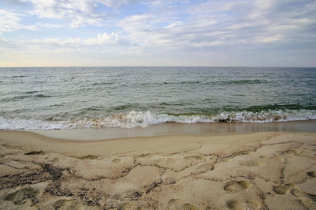 Piaszczysta plaża Morze Bałtyckie Mierzeja Kurońska