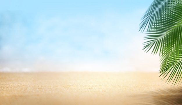 Piaszczysta plaża piękna z liści palmowych, lato na koncepcji plaży, puste tło