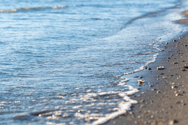 Piaszczysta plaża usiana małymi muszelkami na tle przejrzystej morskiej wody