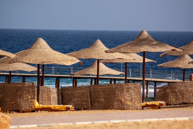 Zdjęcie piaszczysta plaża z parasolami słonecznymi w pobliżu morza?