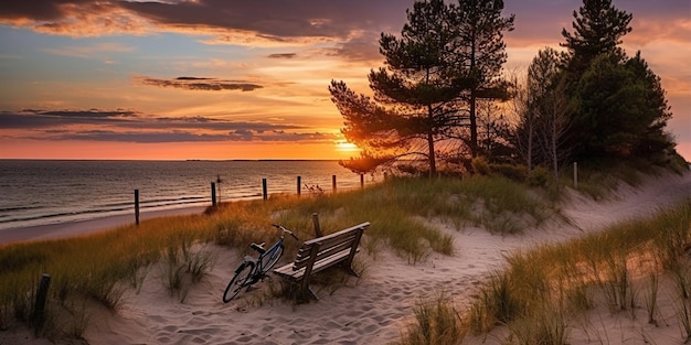 piaszczyste wydmy na plaży Bałtyku zachód słońca na plaży sosny słońce odbija się na wodzie