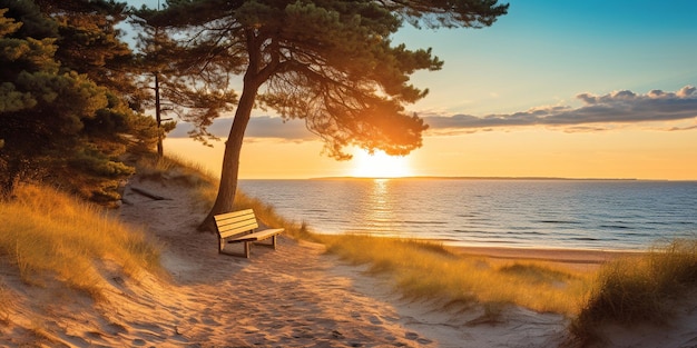 piaszczyste wydmy na plaży Bałtyku zachód słońca na plaży sosny słońce odbija się na wodzie