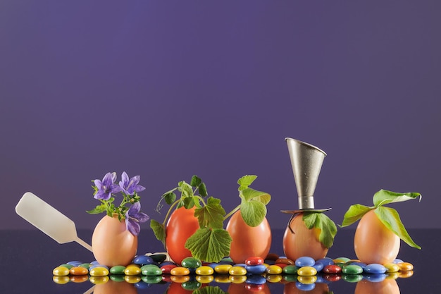 Pięć organicznych sadzonek w skorupkach jajek na fioletowym tle eko ogrodnictwo poziome