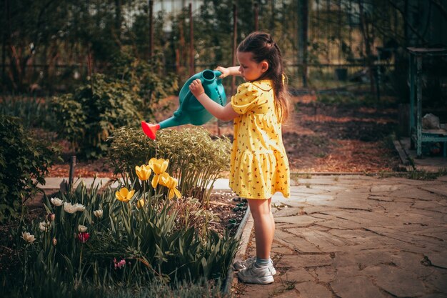 Pięcioletnia dziewczynka w żółtej sukience podlewa żółte tulipany z konewki w ogrodzie na ...