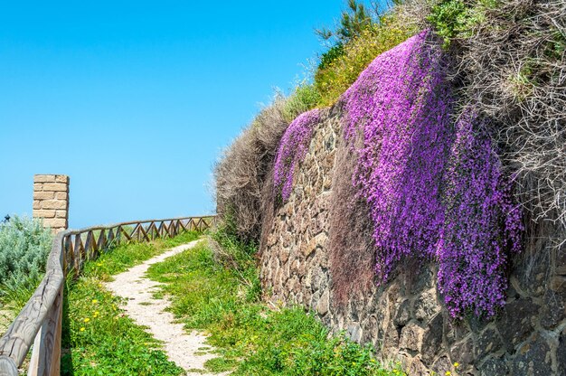 Piękna aleja starego miasta castelsardo