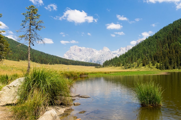 Piękna Alpejska Panorama, Grupa Pala Dolomitów Z Jeziora Calaita