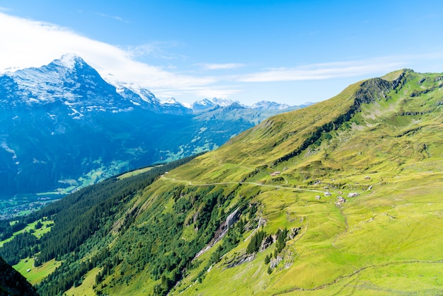 Piękna Alps Góra W Grindelwald, Szwajcaria