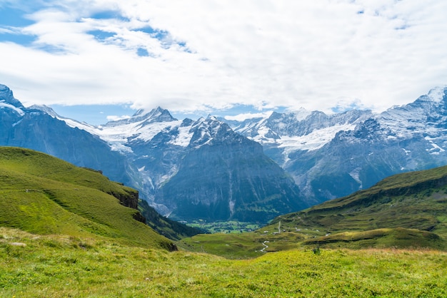 Piękna Alps Góra W Grindelwald, Szwajcaria