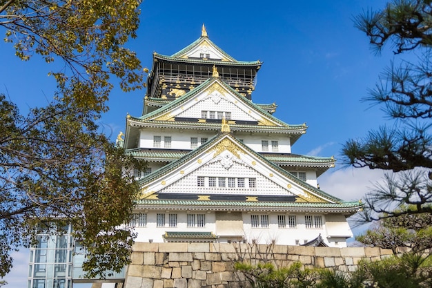 Piękna architektura zamek osaka z drzewem