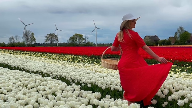 Piękna blondynka w czerwonej sukience i białym słomkowym kapeluszu z koszem z płotkiem na kolorowych polach tulipanów