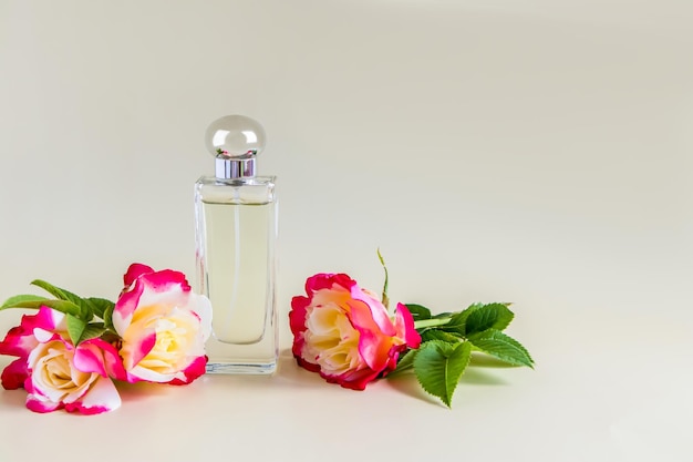 Piękna butelka perfum dla kobiet na pastelowym tle z eleganckim kwiatem pachnącej róży widok z przodu szablon dla perfum kopia przestrzeń