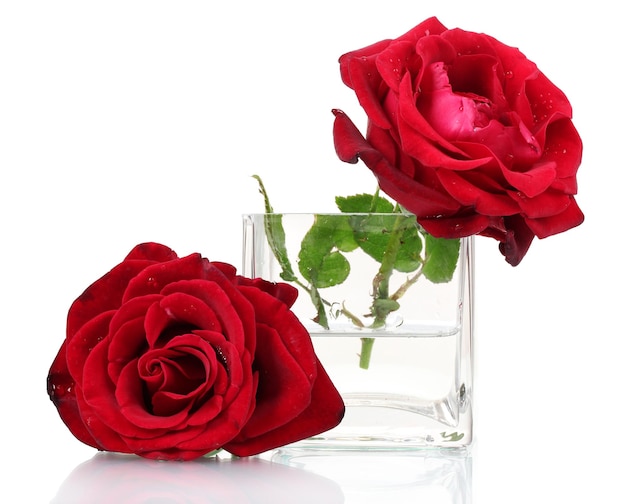 Piękna czerwona róża w przezroczystym wazonie na białym tle